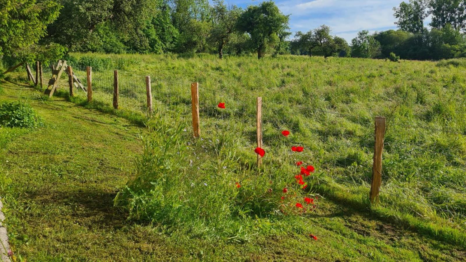 Sous Le Saule Lägenhet Nods Exteriör bild