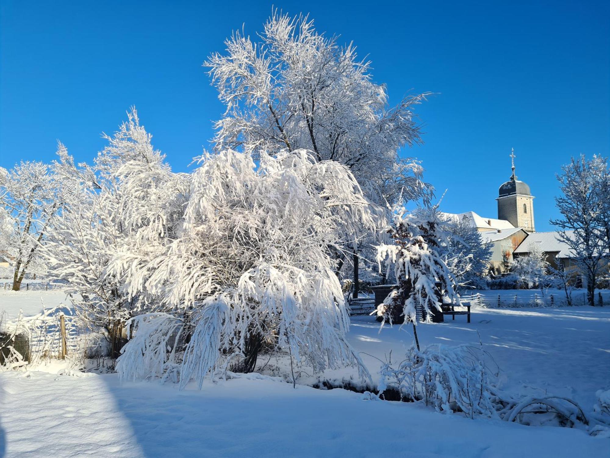 Sous Le Saule Lägenhet Nods Exteriör bild