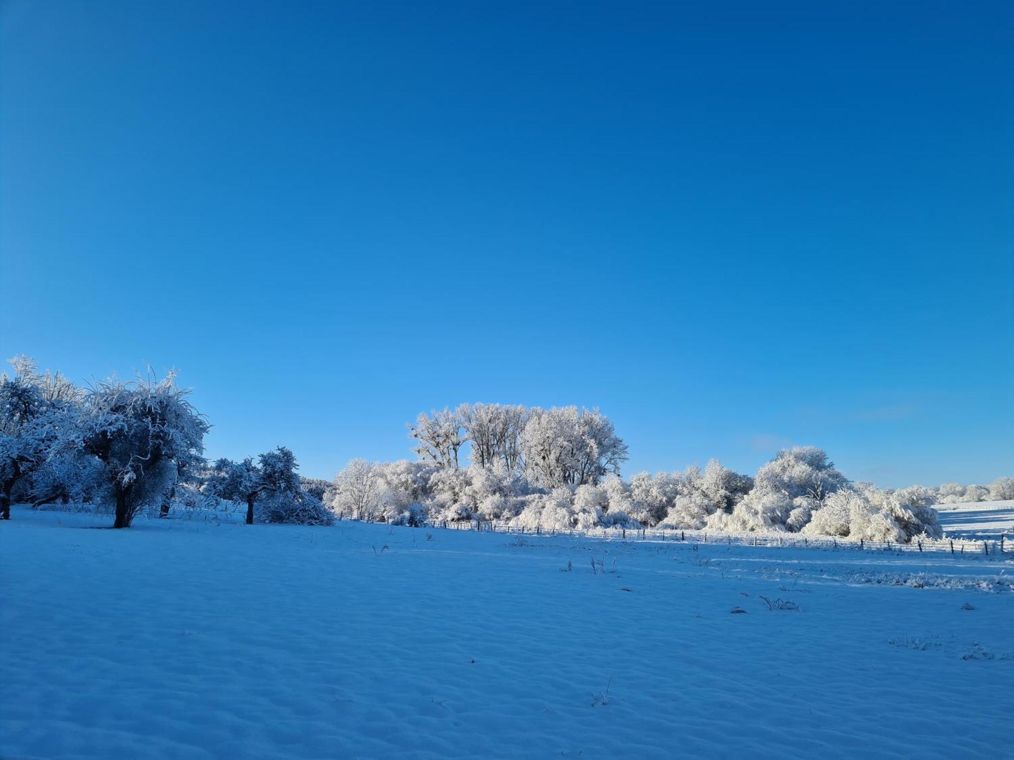Sous Le Saule Lägenhet Nods Exteriör bild